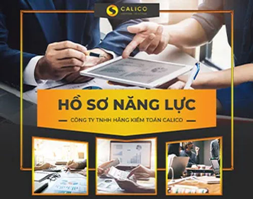 Hồ Sơ Năng Lực
