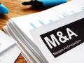 Hiểu đúng về M&A dành cho người mới bắt đầu