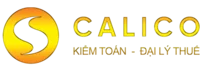 Kiểm Toán Calico | Công ty kiểm toán uy tín | Dịch vụ kiểm toán BCTC